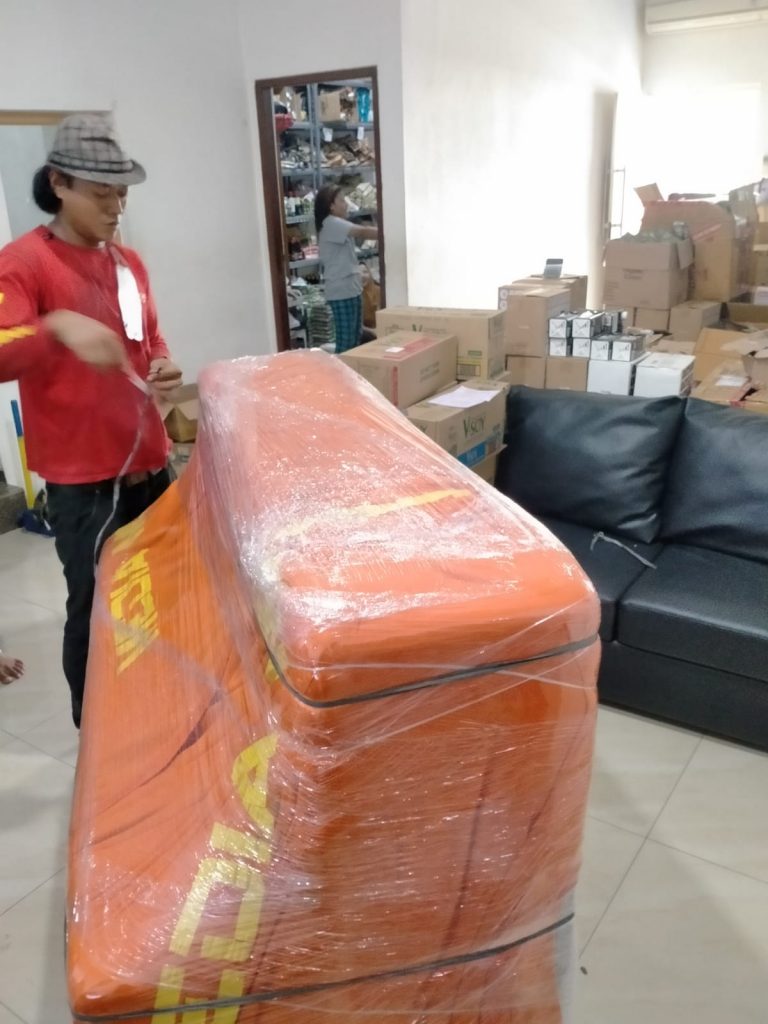 Mover Professional